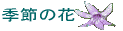 �ߕ����A�J�^�N���A�t���Ȃ�