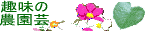 ����̖~�́@���T�r�͔|�L�^�E�摜